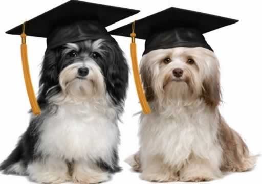 curso box 2 curso box 2